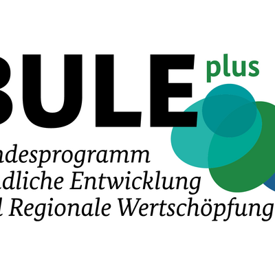 Bild vergr&ouml;&szlig;ern: BULE-plus_Logo_RGB_Farbe_2000px